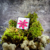 KevätLehti Kaulakoru