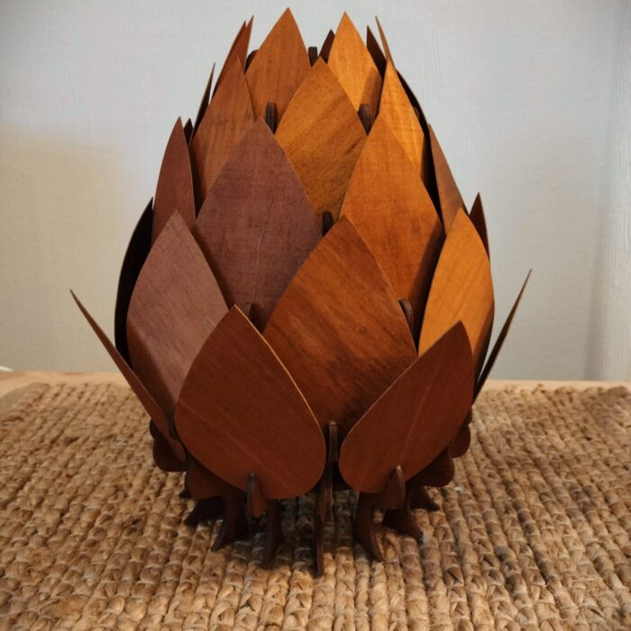 IMG_20231129_124808 IMG_20231129_124808