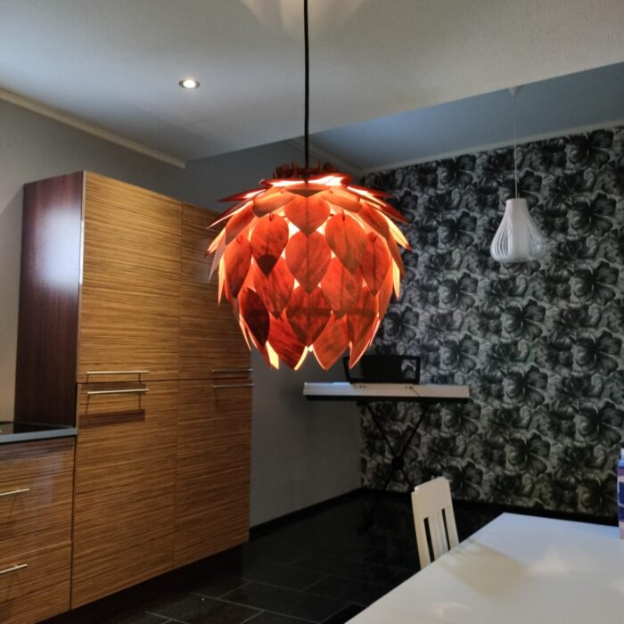 Img20250731153733 Img20250731153733